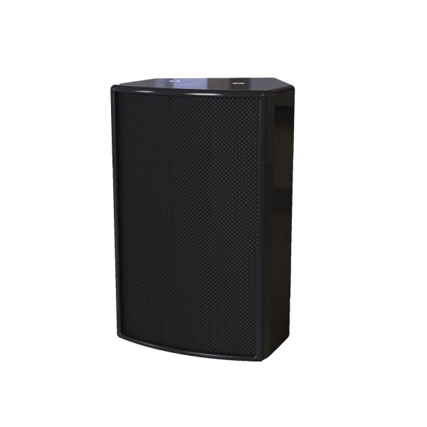 Wall Mounted Professional DSP Audio Speaker 30W With PoE Power Supply