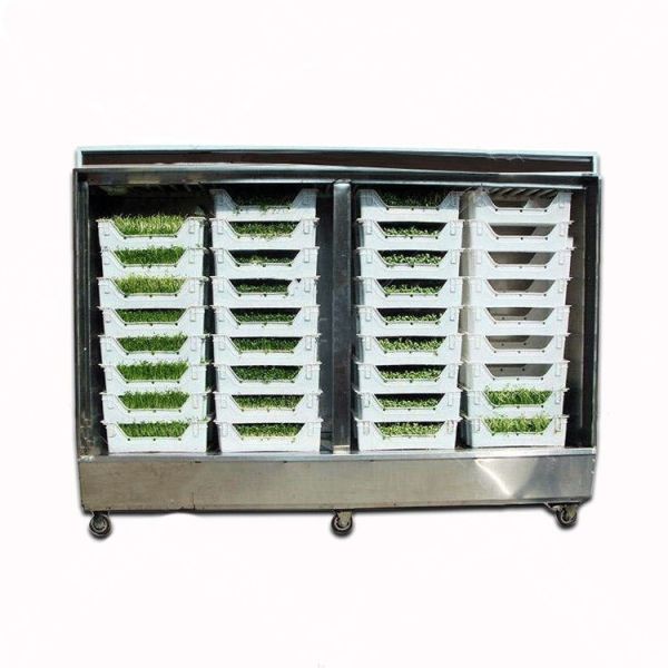 Livestock Hydroponic Fodder Machine Barley Growing Automated Fodder System