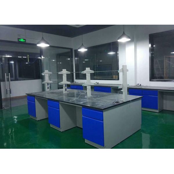College Steel Chemistry Lab Furniture / Laboratory Workbench With Reagent Shelves
