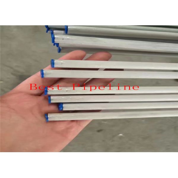 SS TP 202 Stainless Steel Pipe / 6-1000mm Out Diameter Stainless Steel ERW Pipe 