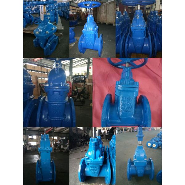 Ductile Iron Cast Gate Valve Elastic Seat Soft Seal Open Rod DIN NPS 11/2