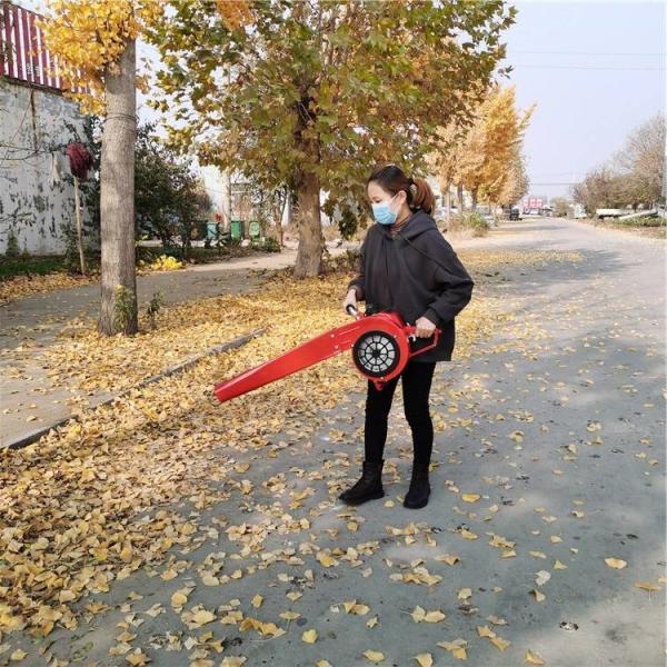 cordless portable knapsack wind sweeper leaf blower snow blower forest Fire extinguisher lightweight leaf blower