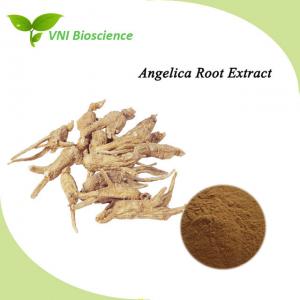 Cheap Halal Certified Angelica Extract Ligustilide Ferulic Acid  Dong Quai Extract for sale