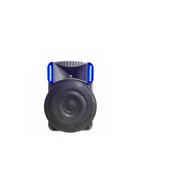 18 Inch Active USB Trolley Powerful Portable Speakers