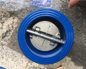 Cheap Ductile Cast Iron Wafer Type Dual Plate Double Door Check Valves within Your Budget for sale