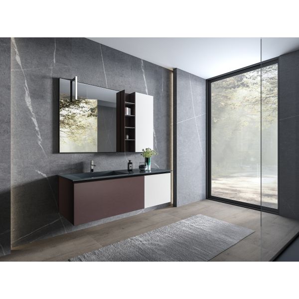 Modern  Custom Bathroom
