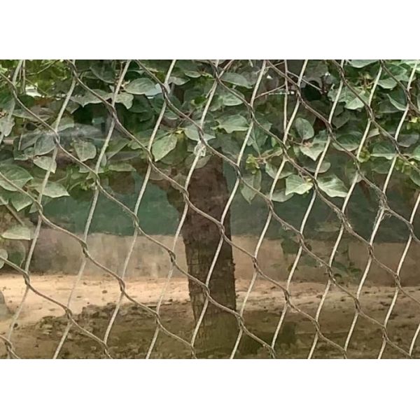 SS316 30mm*30mm Wire Rope Mesh Manufacturer For Avairy Zoo Mesh