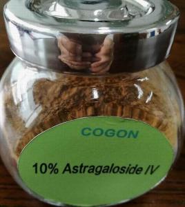 Cheap 80 Mesh Astragalus Extract 10% Astragaloside IV 1.6% Cycloastragenol 84687 43 4 for sale