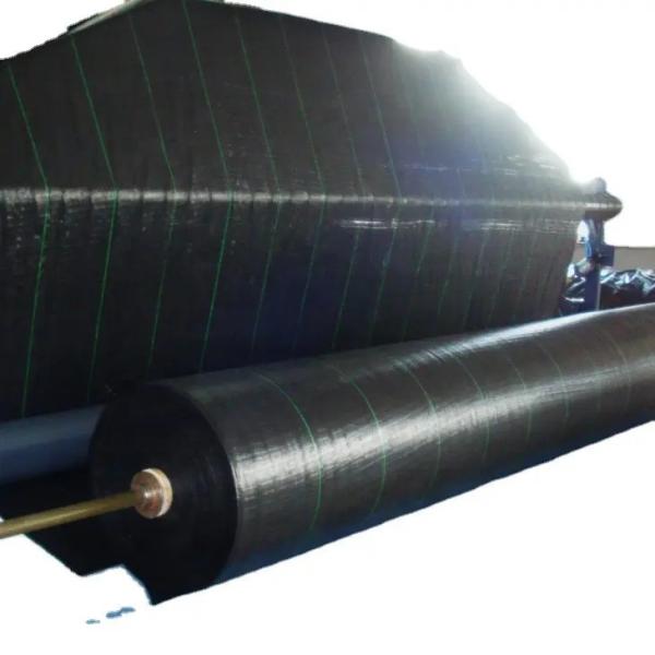 Woven Fabric Geotextile Weed Control Ground Cover Silt Fence Stabilization Pp Woven Geotextile