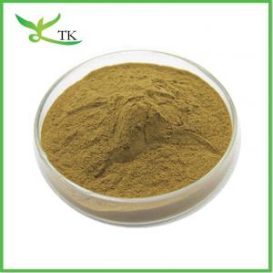 Cheap Natural African Mango Seed Extract Powder 10:1 Mango Seed Extract Weight Loss Raw Material for sale