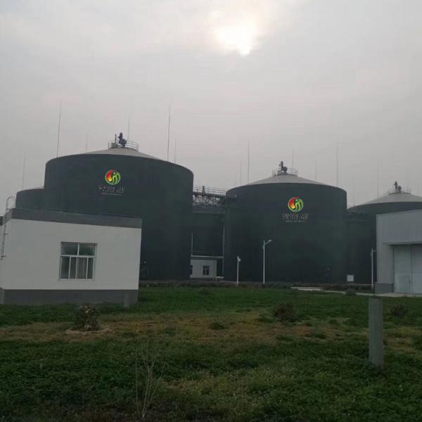 N2O Gobar Gas Balloon Biogas Plant Project Anaerobic Digestion Tank