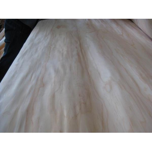 Rotary Cut New Zealand Pine Wood Veneer Sheet, Face/Back Grade