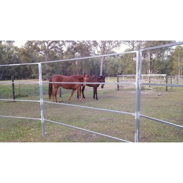 22 Portable Horse Stall Panels Inc Gate, Round Yard, Cattle Fences, Corral 15m Diameter