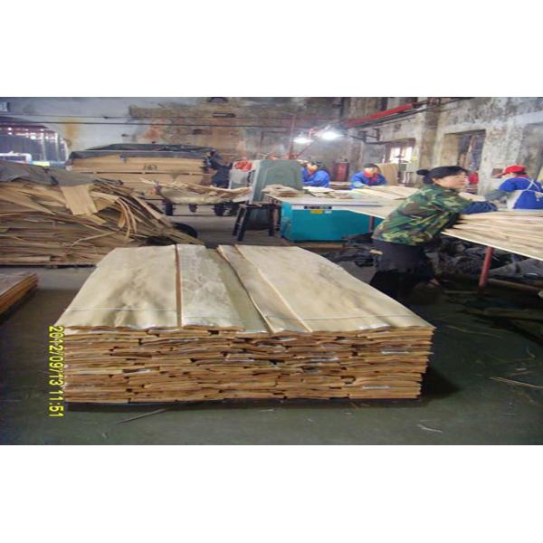 Brown Elm Crown Cut Veneer , 0.3 mm - 0.6 mm Natural Wood Veneer