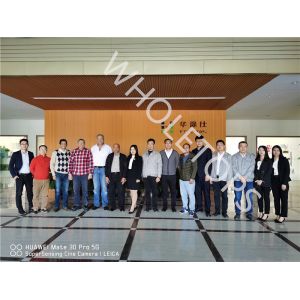 Guangdong Wholetops Building Material Industry Co., Ltd.