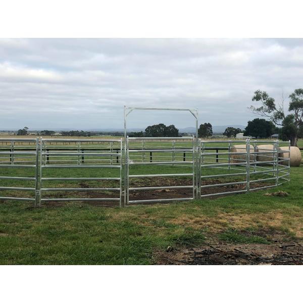 Horse Arenas 20 Meter,Australia Style Corral,Cattle Yards . Victoria 