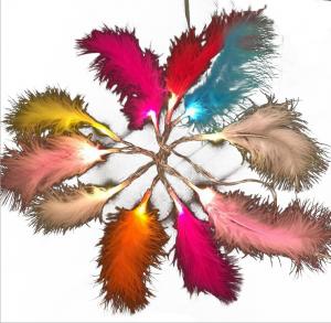 Colorful battery powered feather led fairy lights