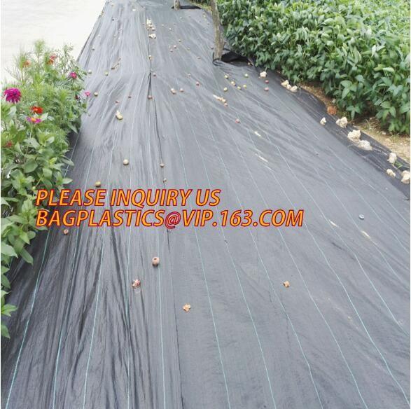 agriculture in 40g with customizable sizes,100% virgin hdpe anti hail net, Hail Protection Net for Agriculture, Made in