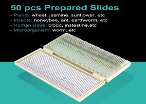Cheap Professional Parasitology Prepared Slides , 42pcs Microscope Glass Slides for sale