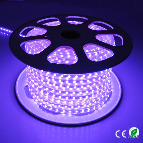 220V High Voltage Multi Color LED Rope Light 60 Leds / Meter Easy To Install