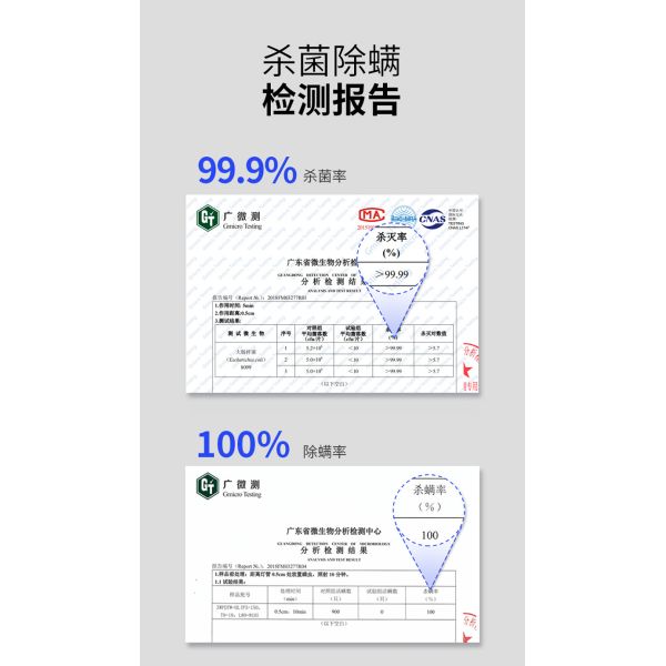 Household Indoor Mobile Medical Ozone UV Germicidal Lamps