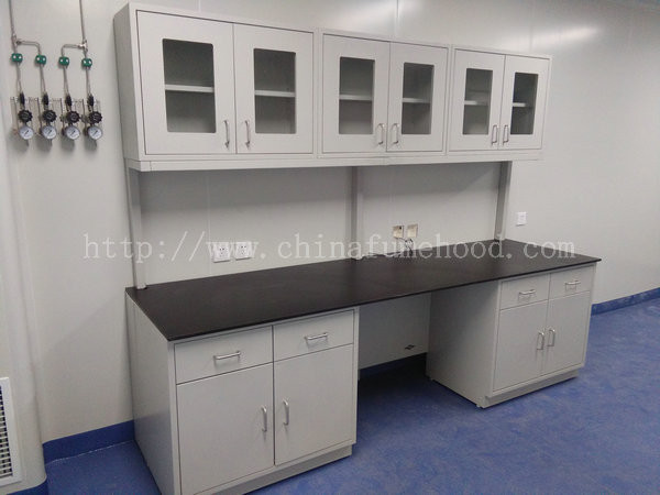 Customized Steel Lab Furniture ,  Laboratory Desk Furniture With Reagent Rack