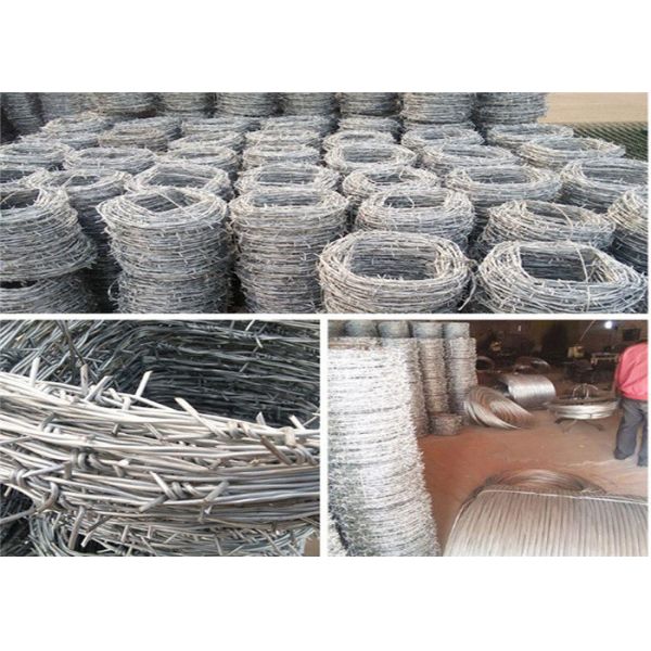 Farm And City Decorative Fence Razor Barbed Wire 1.5cm Barbed Length