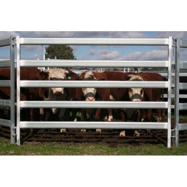 From Budget Cattle Panels To Extra Heavy Duty Cattle Corral Panels For Sale