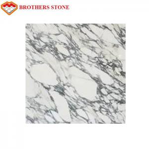 Cheap Italy White Marble Stone Arabescato Corchia Marble Slab For Bathroom Basin Countertop for sale
