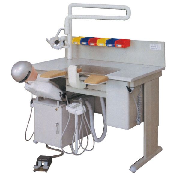 Comprehensive Dental Skill Teaching System Human Teeth Model for Clinic Teaching