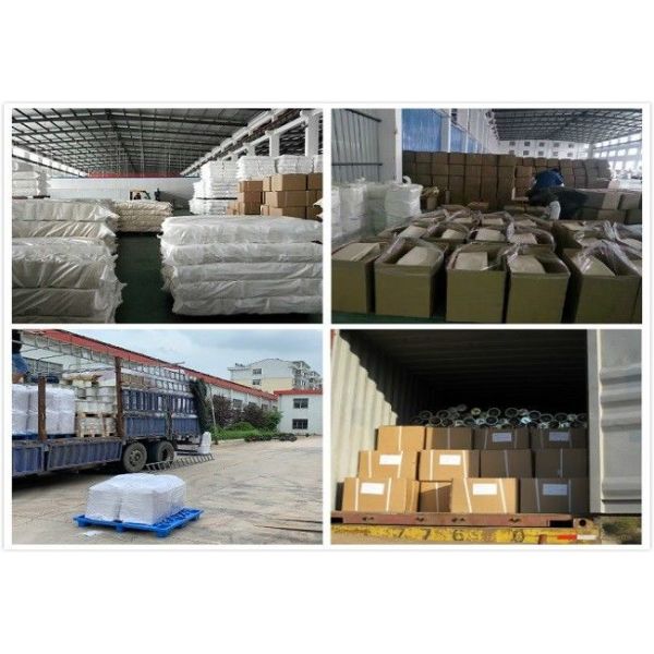 High Temperature Resistance Filter Clamp Low Ductility Long Service Life