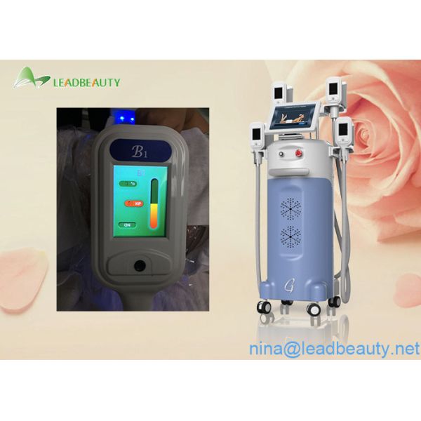 4 handles cryolipolysis slimming machine