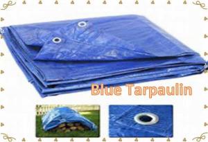 Cheap Blue Tarp Tarpaulin Poly Tent Canopy Cover Camping Ground Sheet  With Grommets for sale