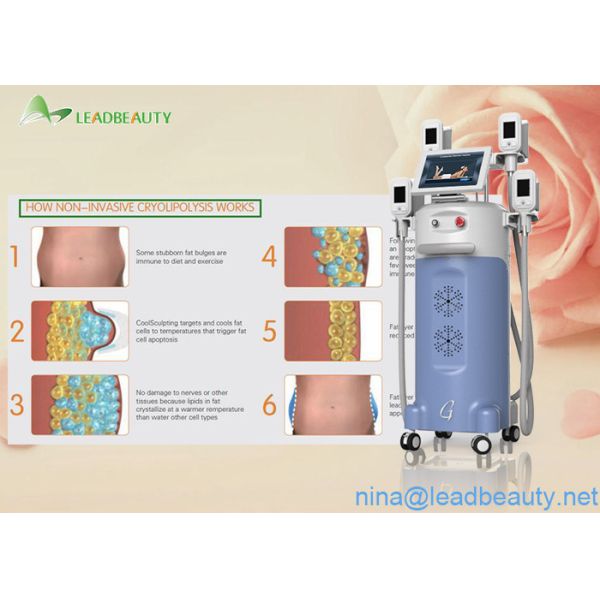 0kpa-100kpa Vacuum 4 Big heads cryolipolysis slimming machine