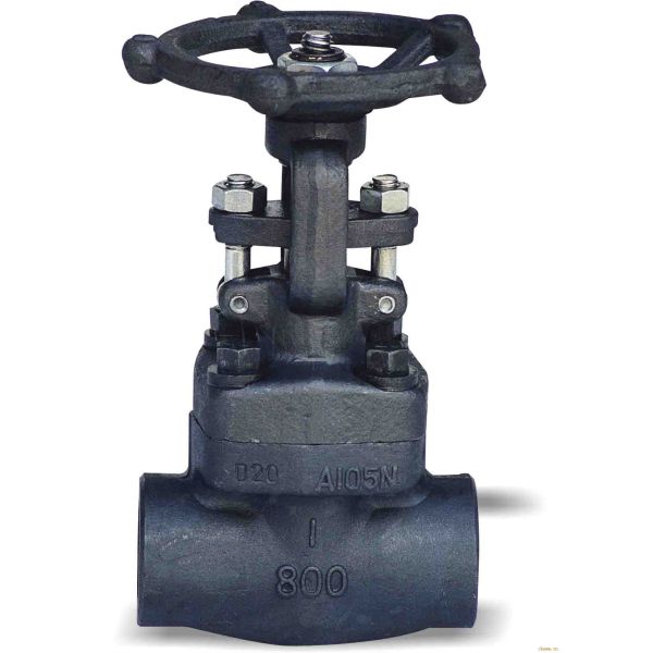 1/2-3 Inch Forged Steel Gate Valve good Sealing with different ends