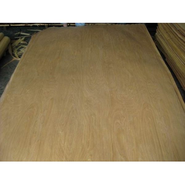 Rotary Cut/Peeled Birch Wood Veneer Sheet
