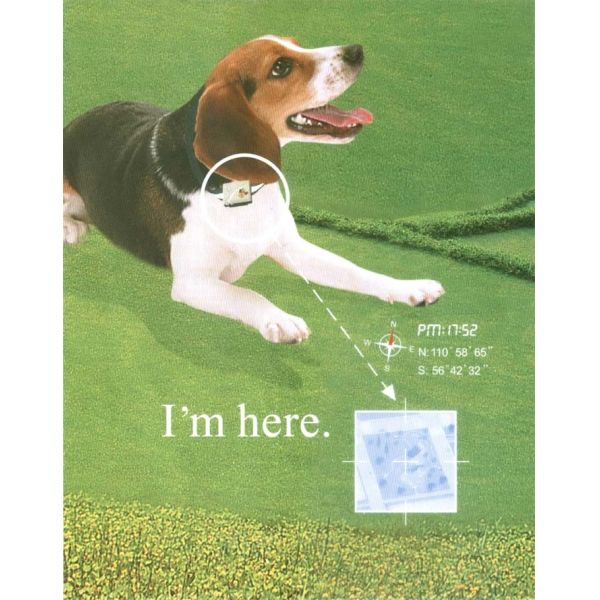 Pet animal dog cat GPS Tracker with collar W/ web tracking on Google Map on mobile phone