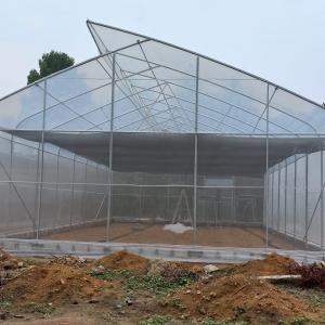 China OEM Hydroponic Tunnel Plastic Greenhouse Galvanizing Steel Farm Supply Greenhouse on sale