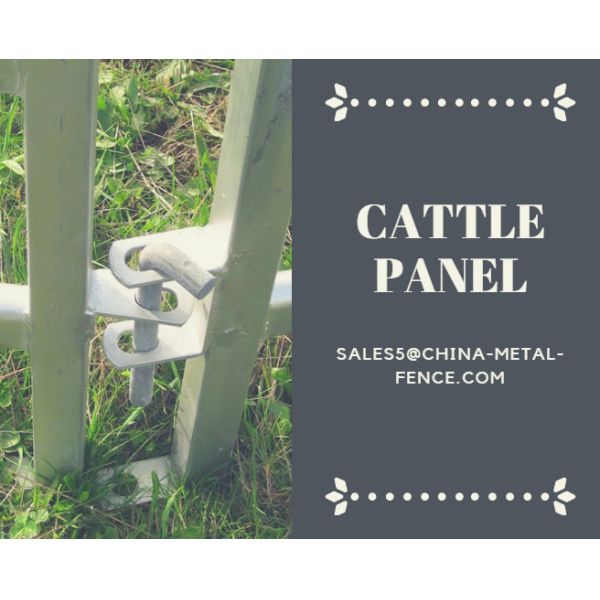 From Budget Cattle Panels To Extra Heavy Duty Cattle Corral Panels For Sale