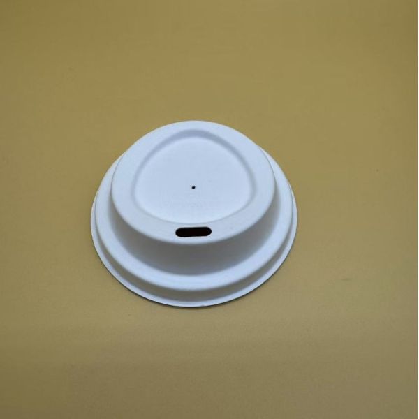 Disposable Tableware Eco-Friendly Solution For Serving Beverages Paper Pulp cup with lid