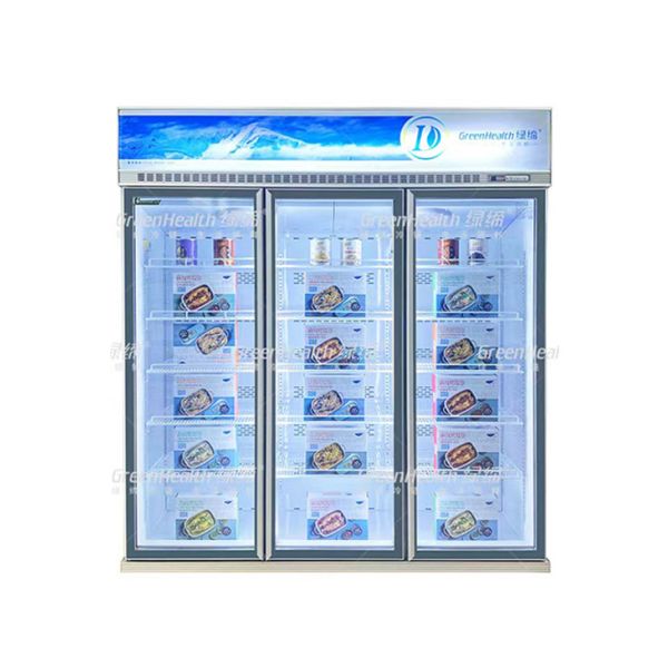 LED Light Commercial Upright Freezer Glass Door With Cubigel Compressor