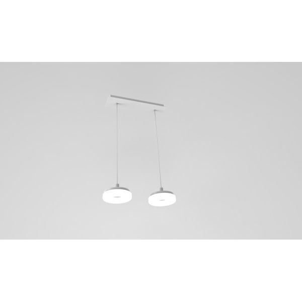 2018 Lighting Fixtures 2 lights led dinning Light Decorative Hanging Lamp
