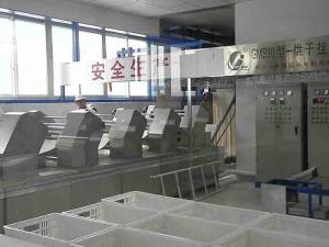 China The Dried Buckwheat Noodles Processing Machine Production Line on sale