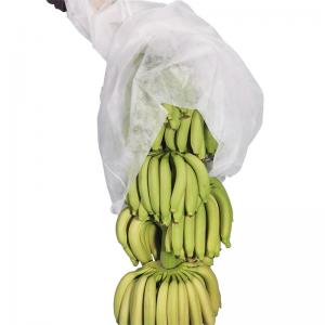 China Breathable Spun Bond Non Woven Banana Bunch Cover In White Color on sale
