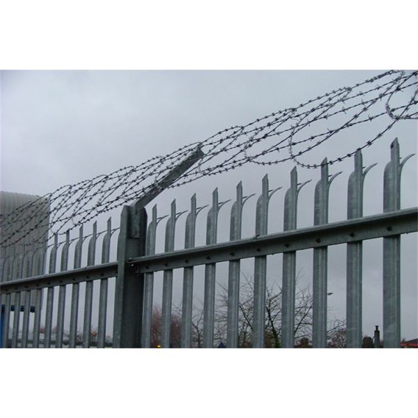 Factory Price Hot Dipped Galvanized European Palisade Fence For Tower