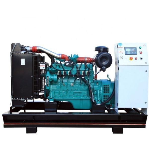 IP23 Protection Class 60kW Natural Gas/Biogas/LPG/Syngas/Oil Gas/Coal Mine Gas Generator