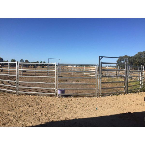 30pcs Bundle Heavy Duty Portable Corral Panels For Cattle & Gate