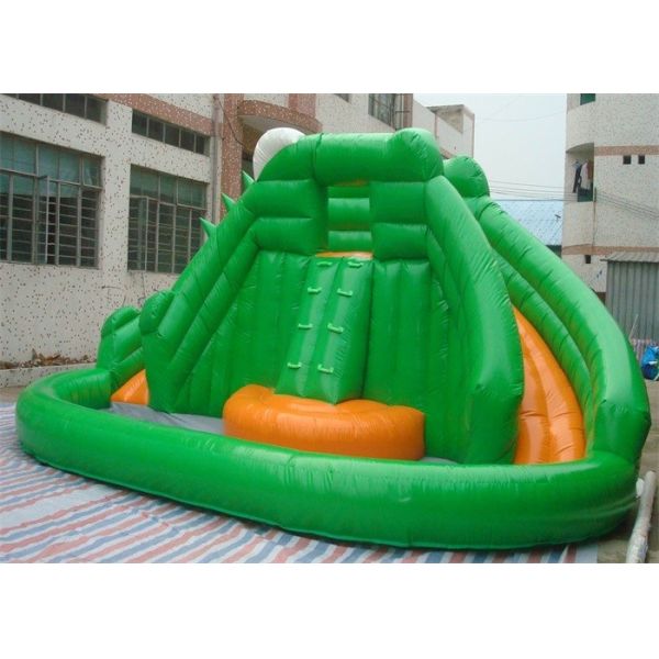 Mini Commercial Inflatable Slide With Climbing Wall , Frog Style Inflatable Pool Slide