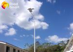 IP65 Outdoor Integrated Street Light With Adjustable Solar Panel , 30W Output