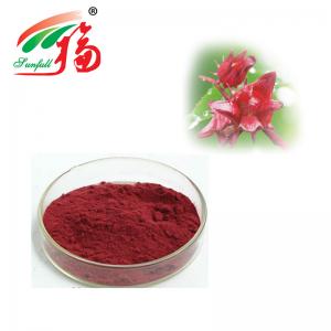 China Hibiscus Flower Extract 10:1 Polyphenol Organic Acid Anthocyanin Extract Powder on sale